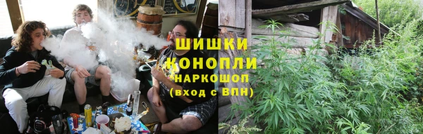 гидра Алексеевка